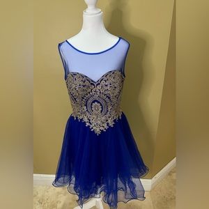 BRAND NEW Homecoming or sweet 16 Dress with Rhinestone embedded Gold bodice.
